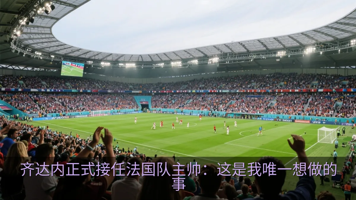 法国队比赛中的球场氛围