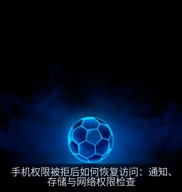 手机权限被拒后如何恢复访问：通知、存储与网络权限检查
